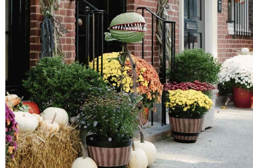 Give an Old Planter a Simple Fall Makeover
