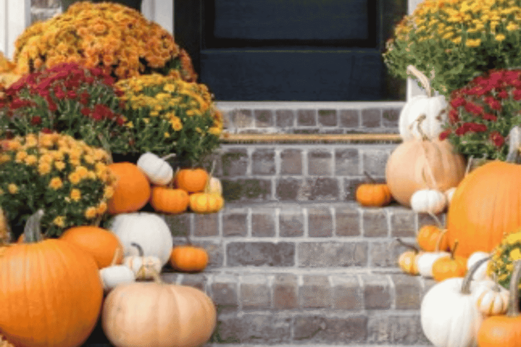 Fall front steps decorated with pumpkins and colorful mums